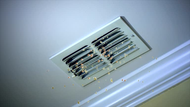Best HVAC Duct Inspection Services  in Hartford, AL