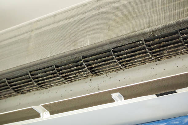 Best General Air Duct Cleaning  in Hartford, AL